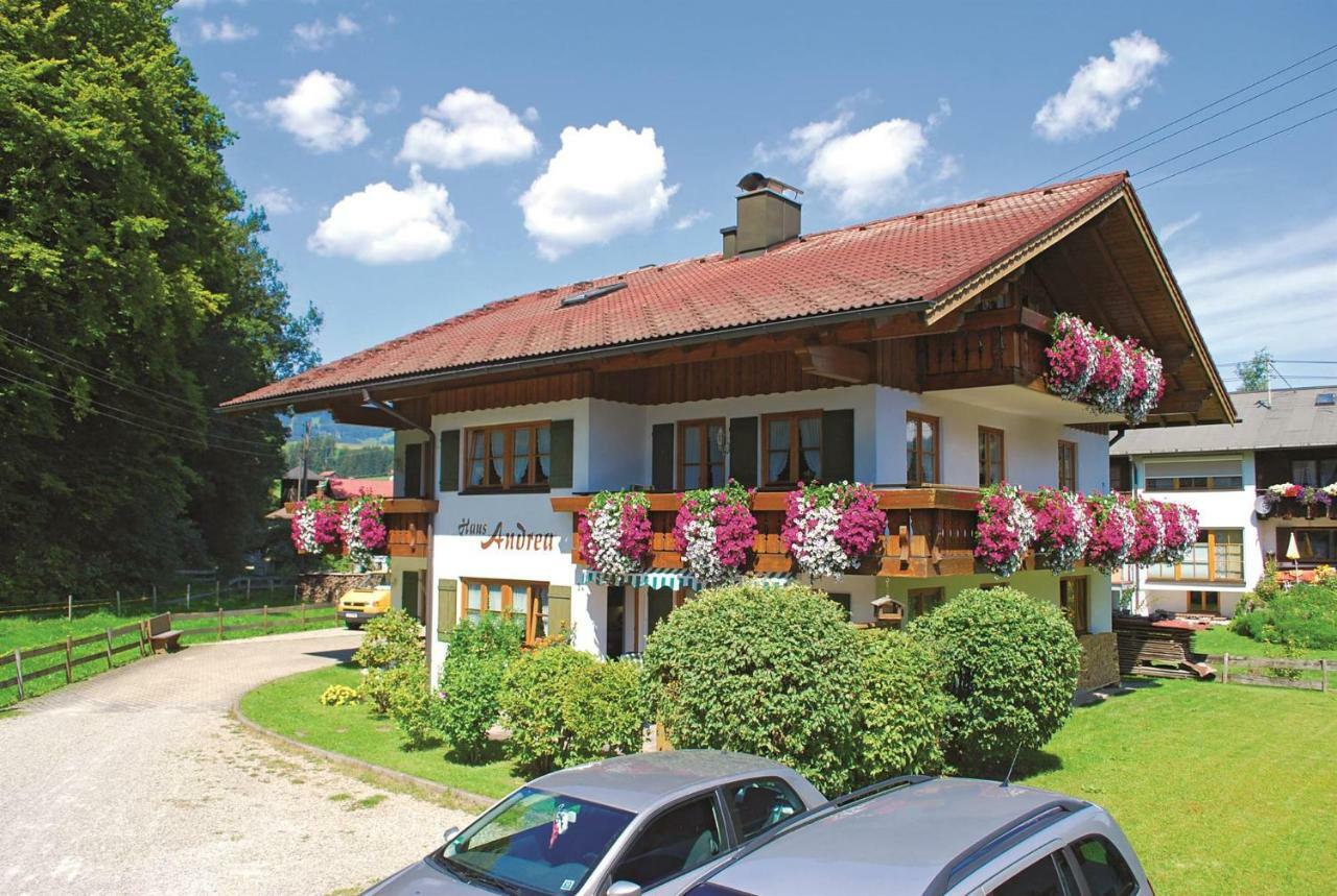 Haus Andrea Apartment Fischen im Allgaeu Екстериор снимка
